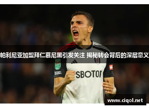 帕利尼亚加盟拜仁慕尼黑引发关注 揭秘转会背后的深层意义