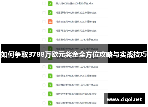 如何争取3788万欧元奖金全方位攻略与实战技巧