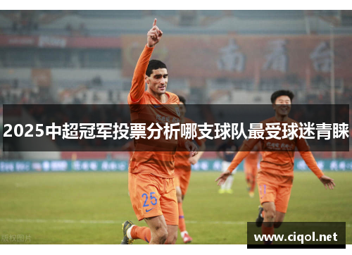 2025中超冠军投票分析哪支球队最受球迷青睐