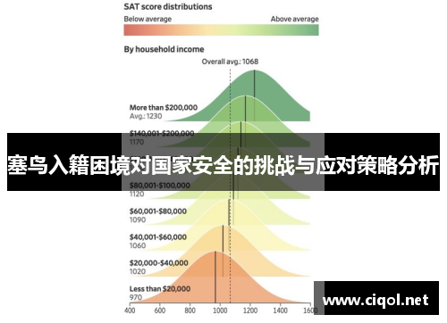 塞鸟入籍困境对国家安全的挑战与应对策略分析 塞鸟入籍困境对国家安全的挑战与应对策略分析