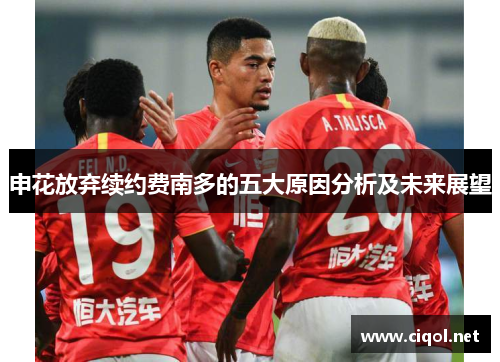 申花放弃续约费南多的五大原因分析及未来展望 申花放弃续约费南多的五大原因分析及未来展望