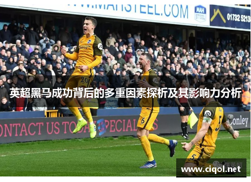 英超黑马成功背后的多重因素探析及其影响力分析 英超黑马成功背后的多重因素探析及其影响力分析