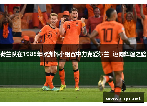 荷兰队在1988年欧洲杯小组赛中力克爱尔兰 迈向辉煌之路 荷兰队在1988年欧洲杯小组赛中力克爱尔兰 迈向辉煌之路
