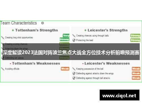 深度解读2023法国对阵波兰焦点大战全方位技术分析前瞻预测赛