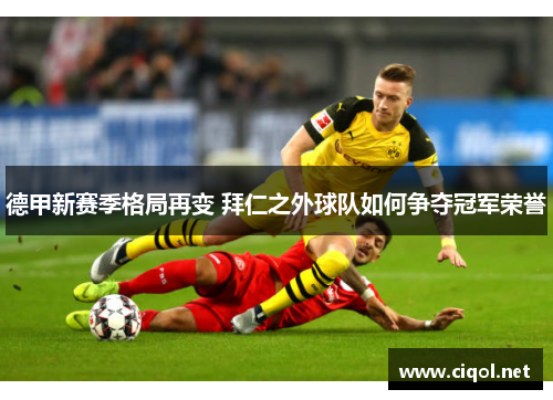 德甲新赛季格局再变 拜仁之外球队如何争夺冠军荣誉